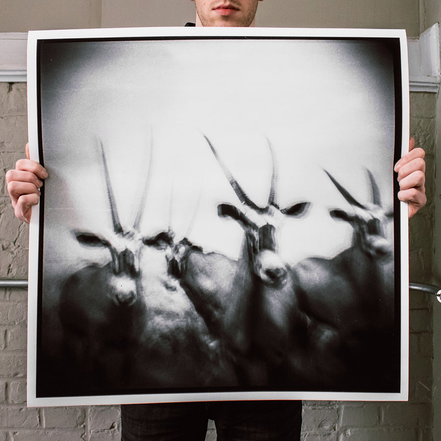 Reid Haithcock "Bones: 2" Giclee Print