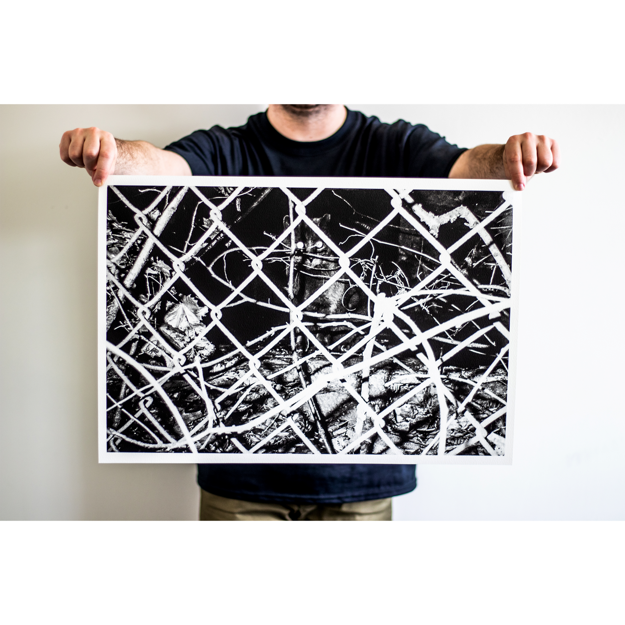 Reid Haithcock "Winter Series: Cat" Giclee Print