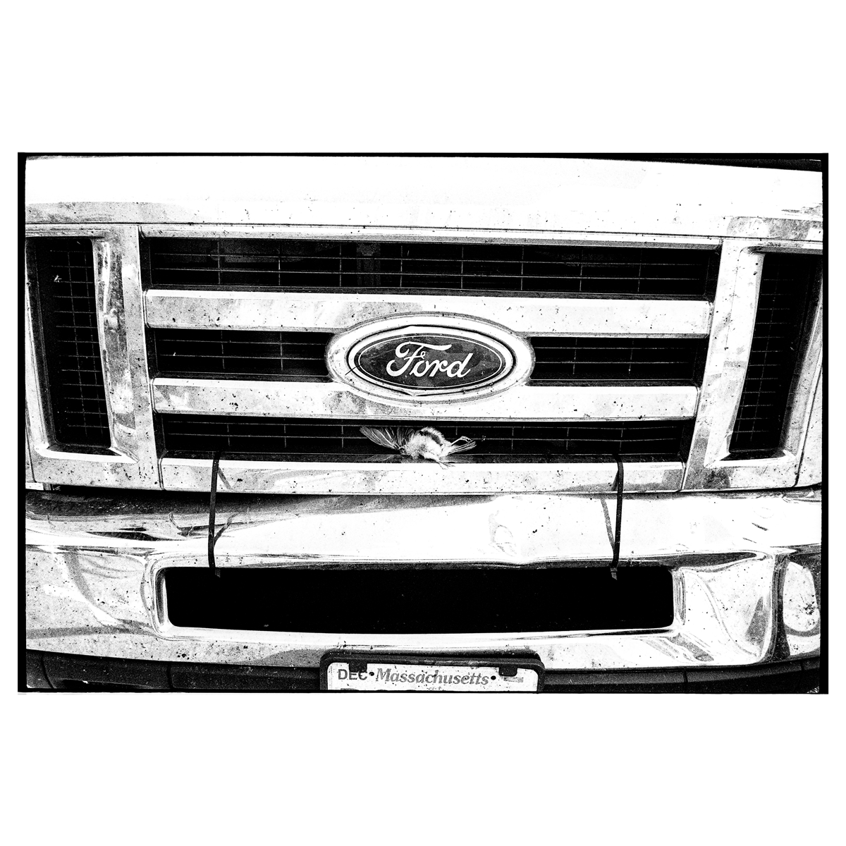 Reid Haithcock "Tour Van" Giclee Print