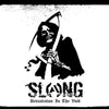 Slang "Devastation In The Void"