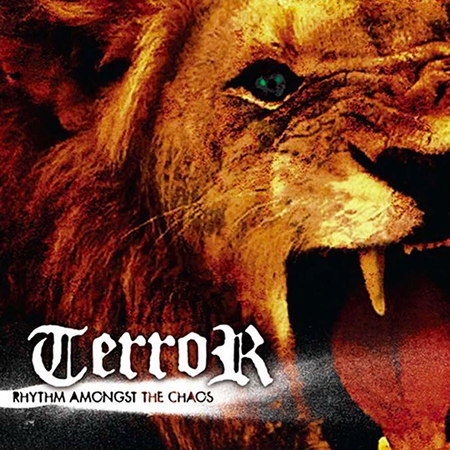 Terror "Rhythm Amongst The Chaos"